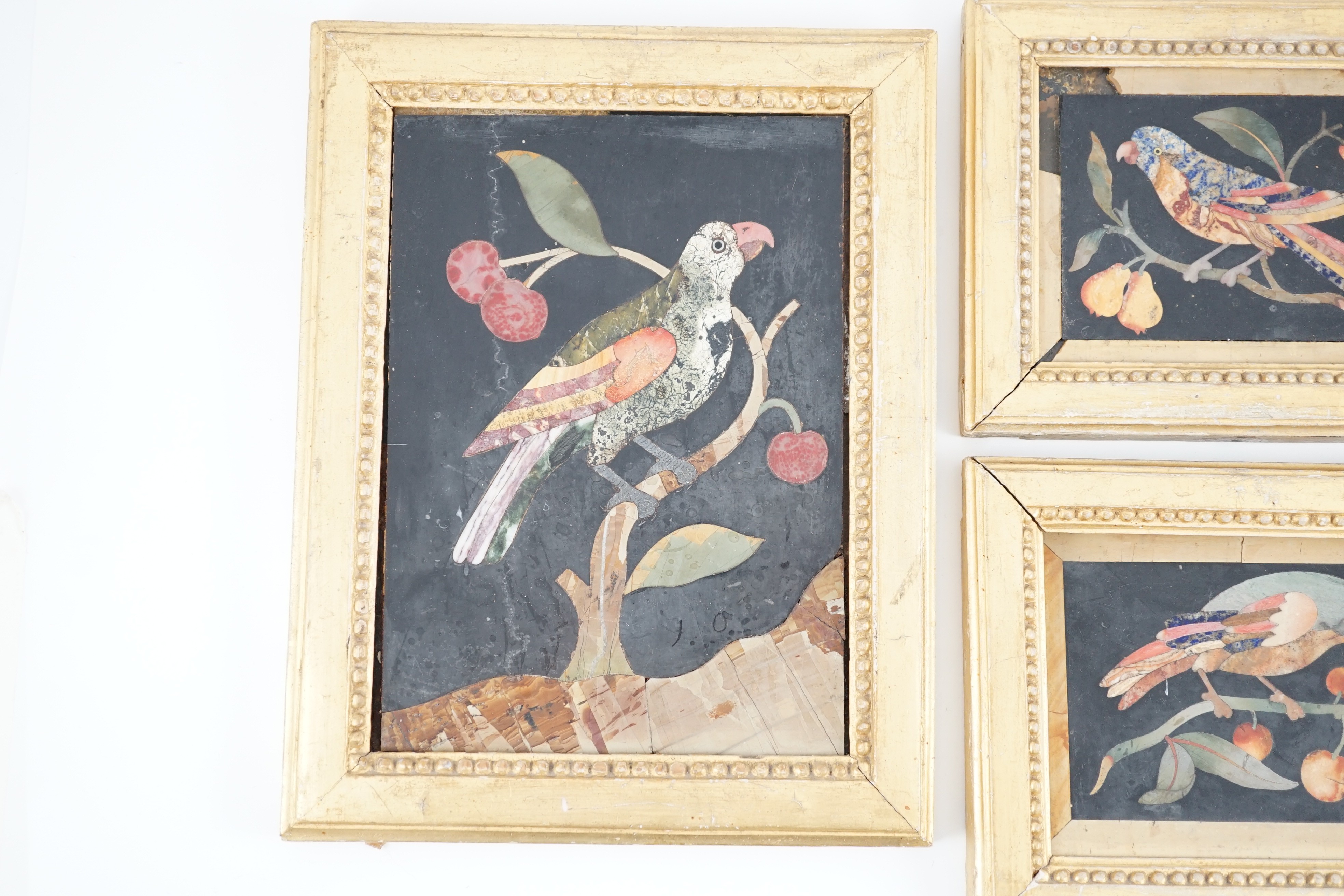 Three 17th / 18th century Italian pietra dura plaques depicting parrots on cherry branches, largest 21 x 15cm, the pair 10.5 x 13cm.
